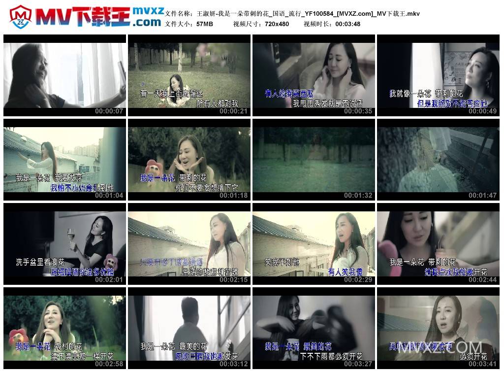 王淑妍-我是一朵带刺的花_国语_流行_YF100584